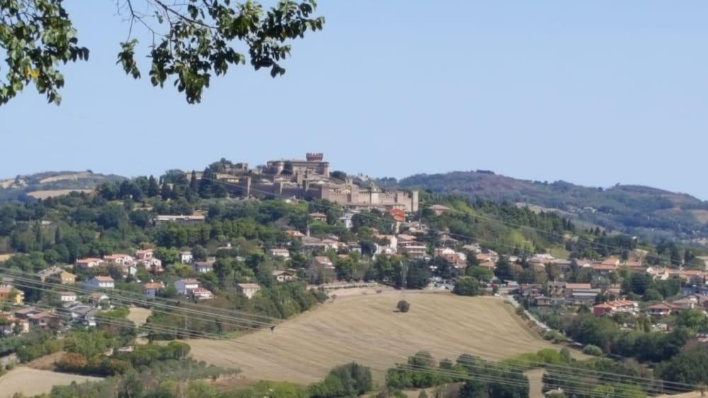 surroundings