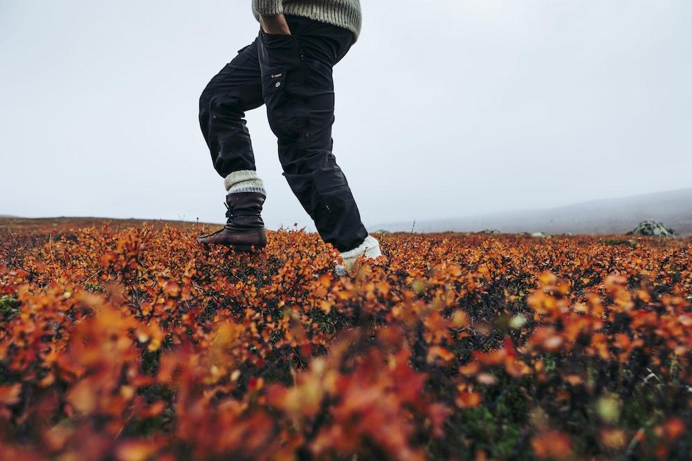 surroundings