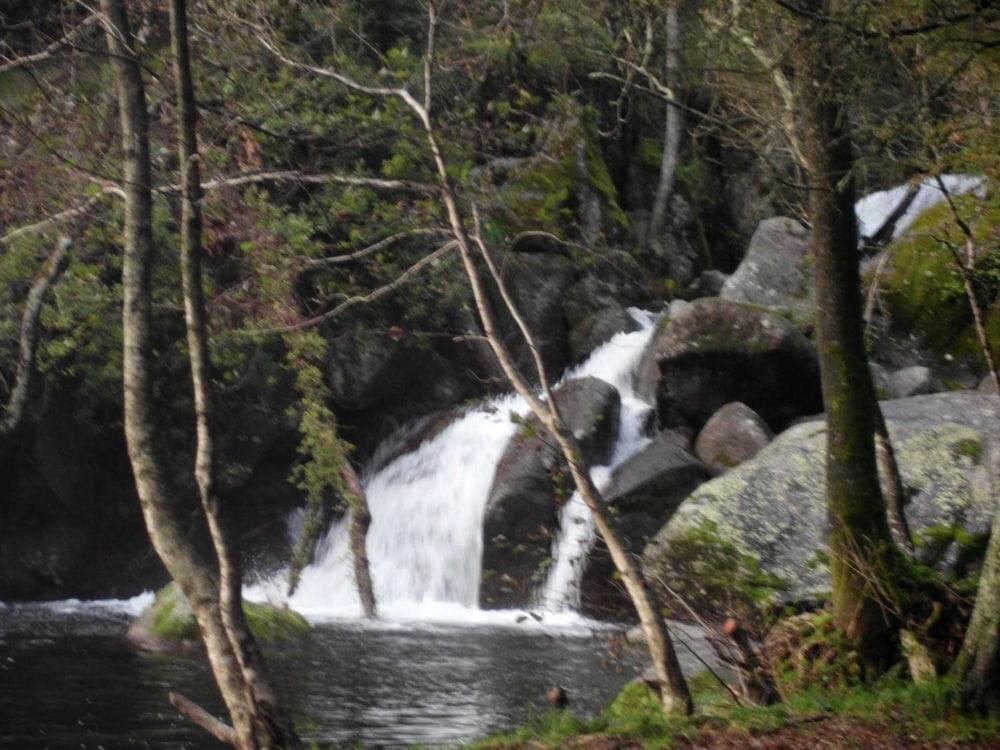 surroundings