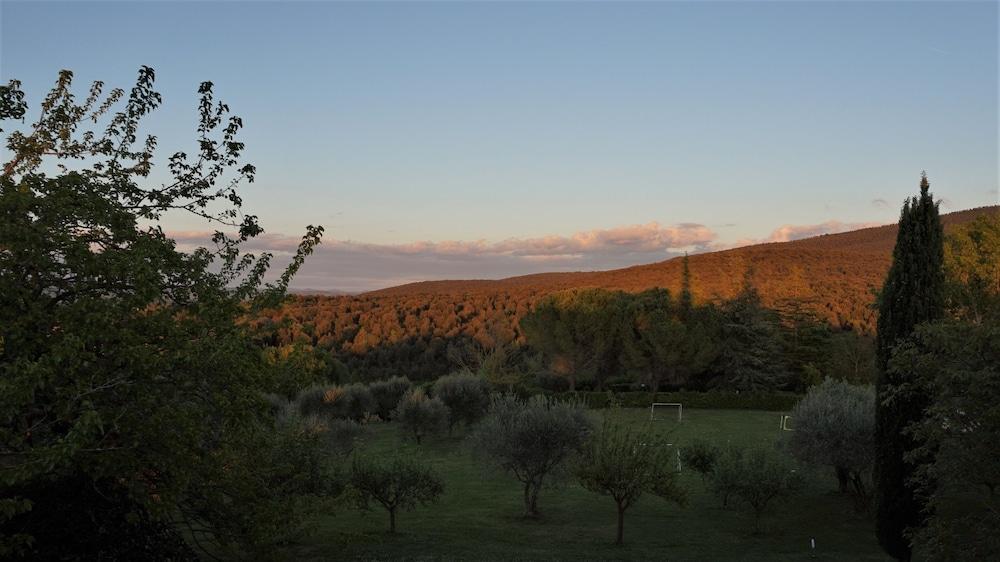 surroundings