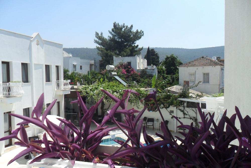 surroundings