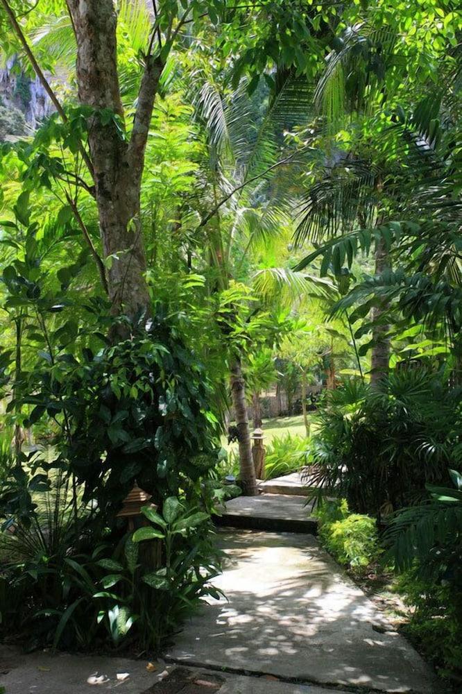 surroundings