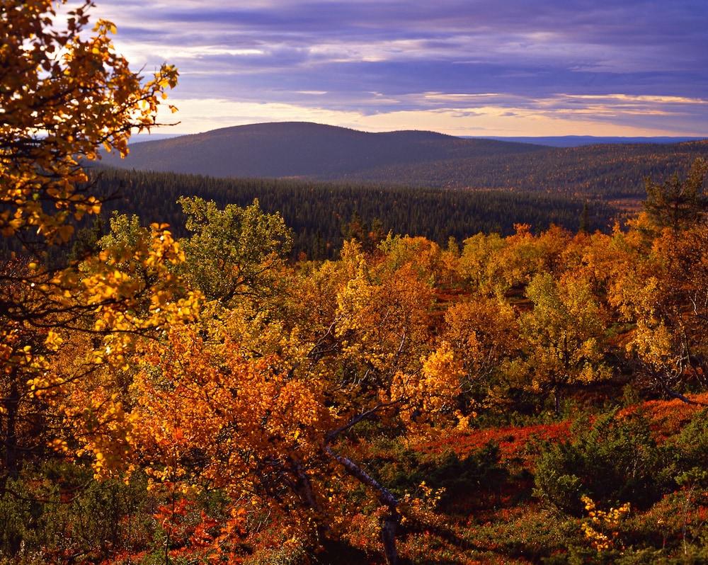 surroundings