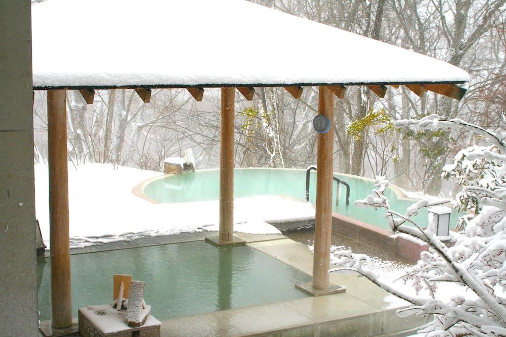 swimming pool spa