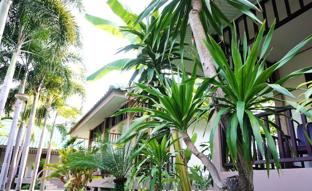 surroundings