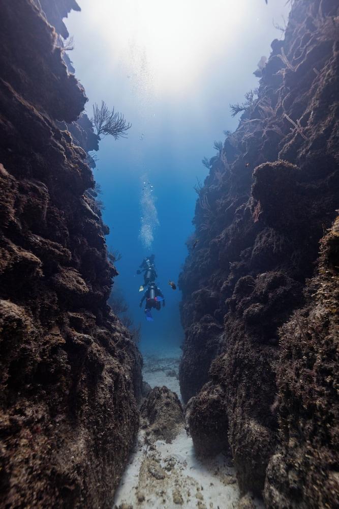 surroundings