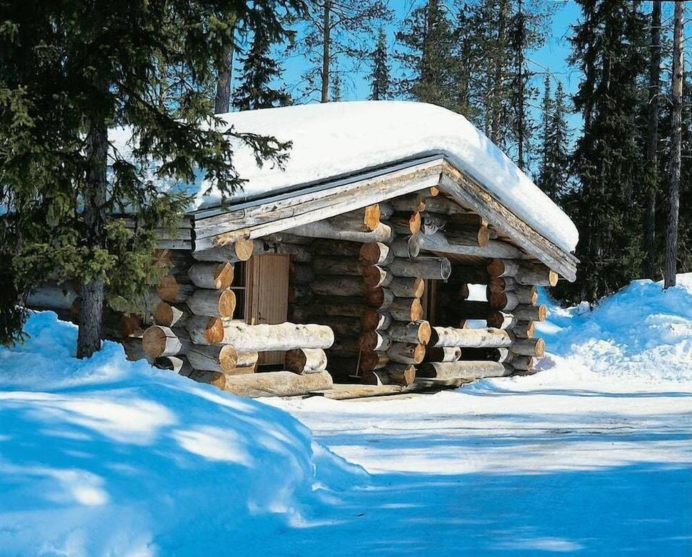 surroundings