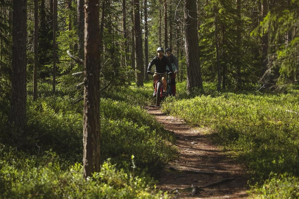 surroundings