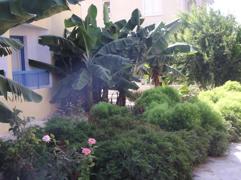 surroundings