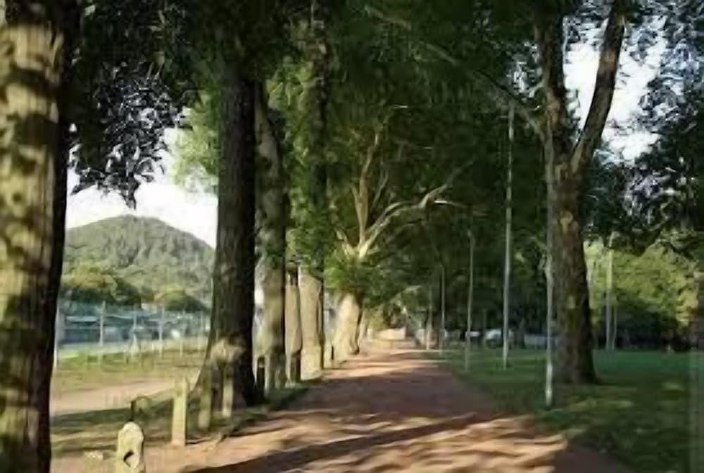 surroundings