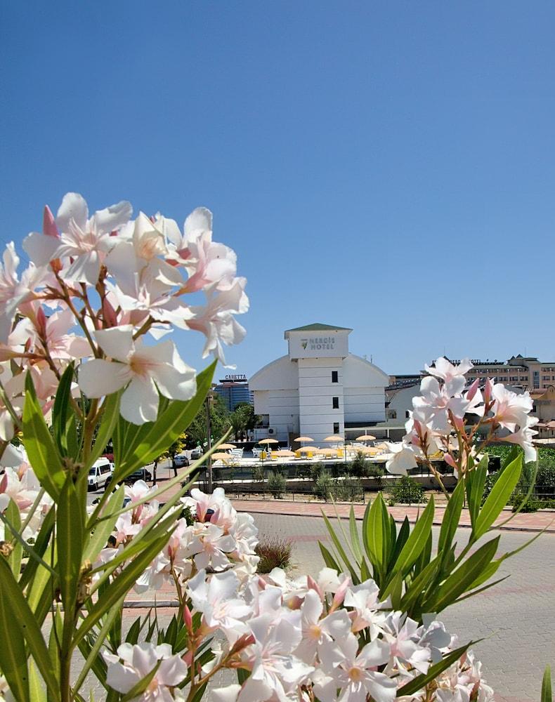 surroundings
