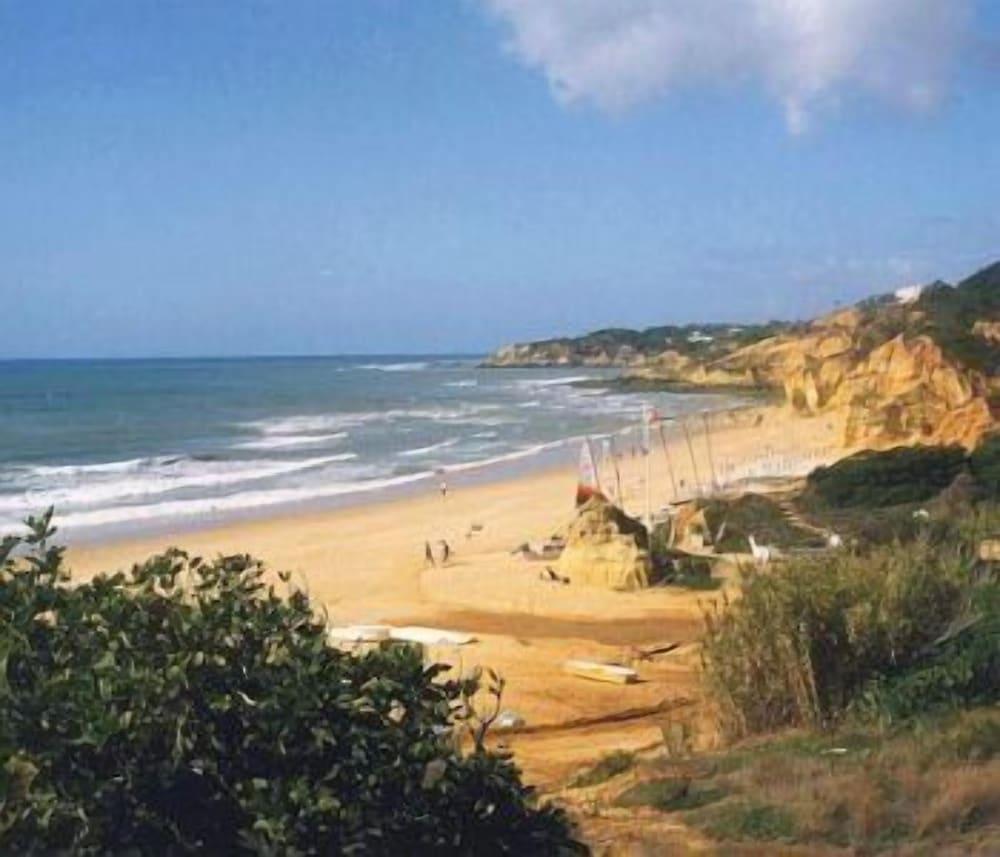 surroundings