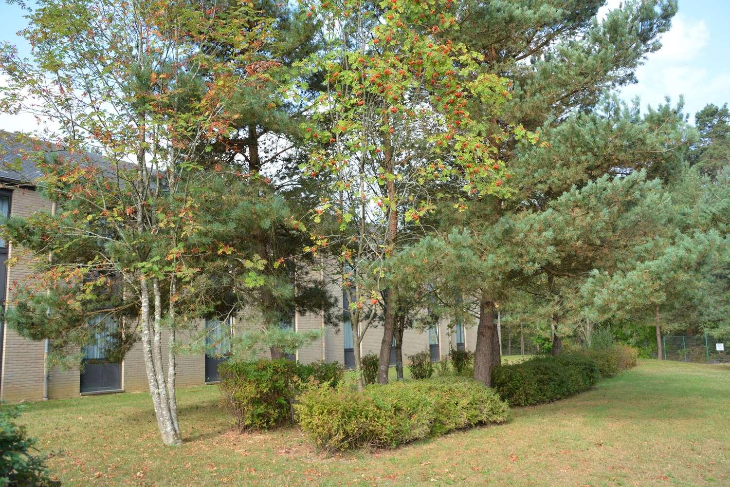 surroundings