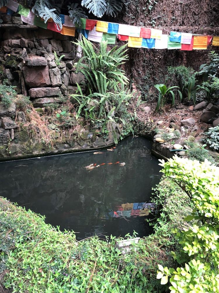 surroundings