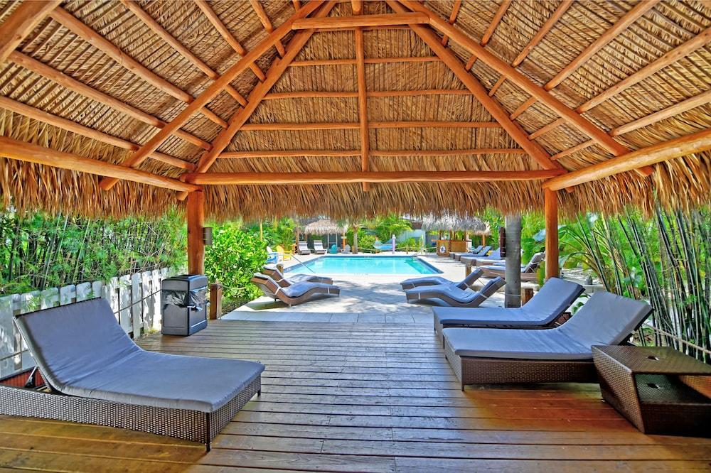 swimming pool spa