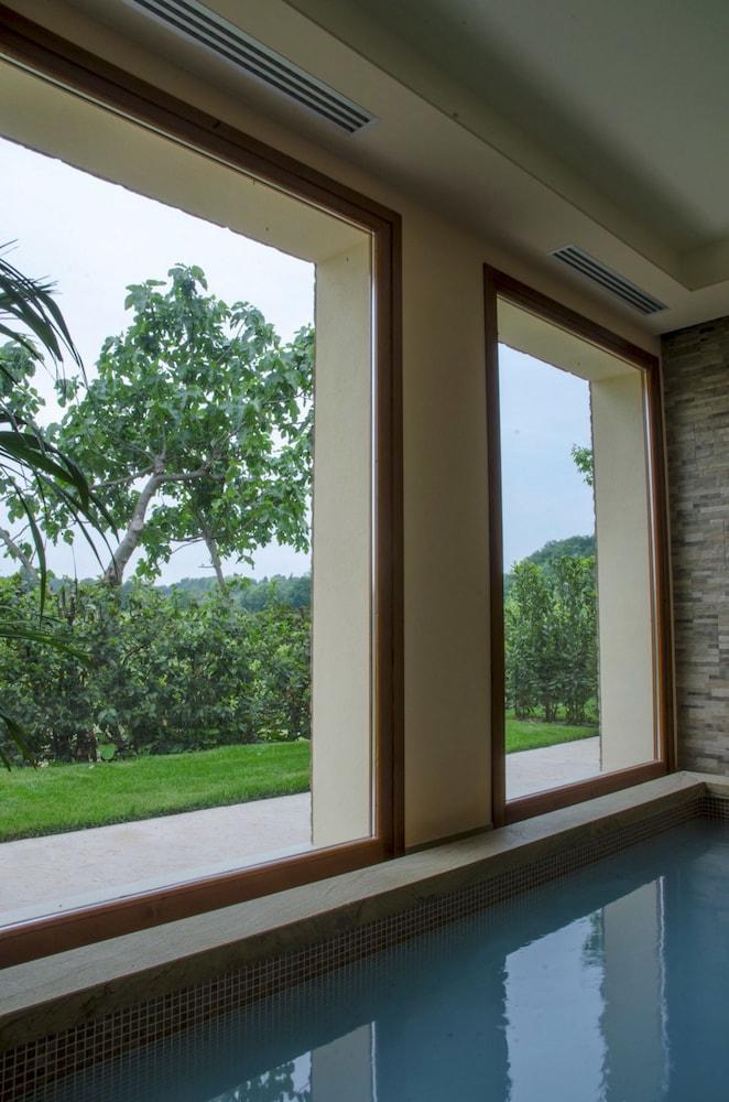 swimming pool spa