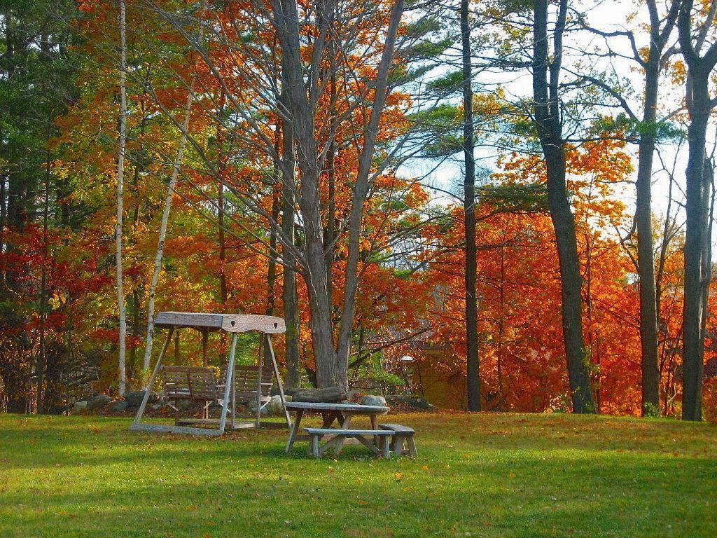 surroundings