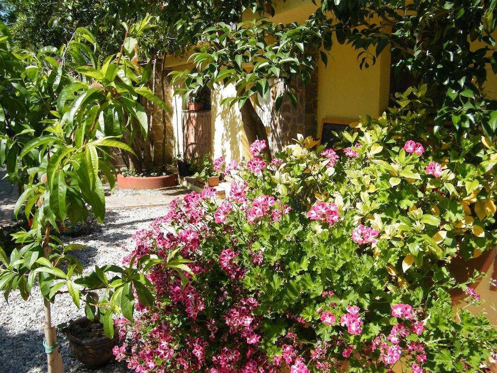 surroundings