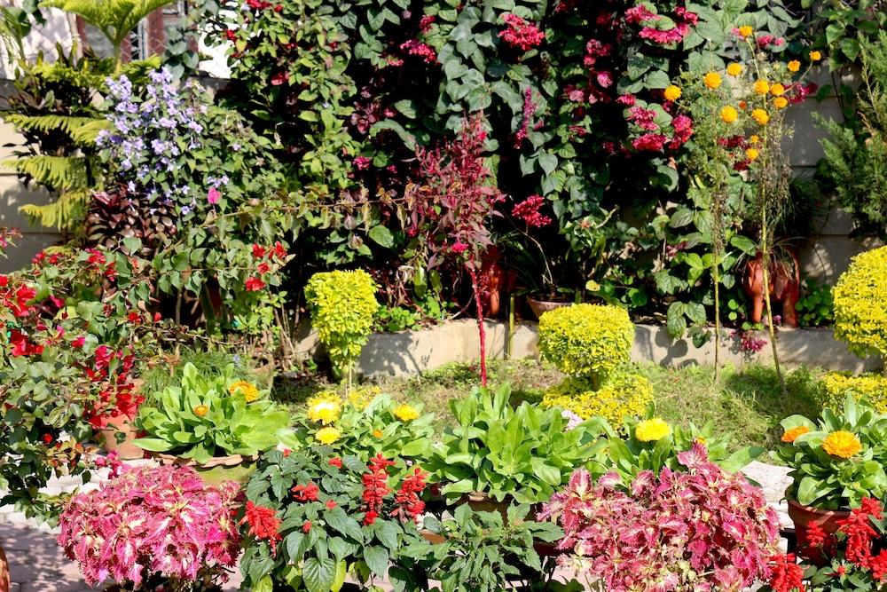 surroundings