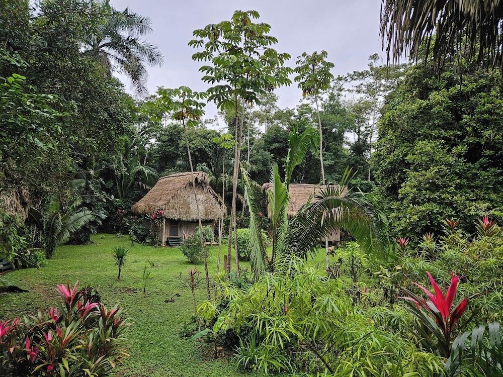 surroundings