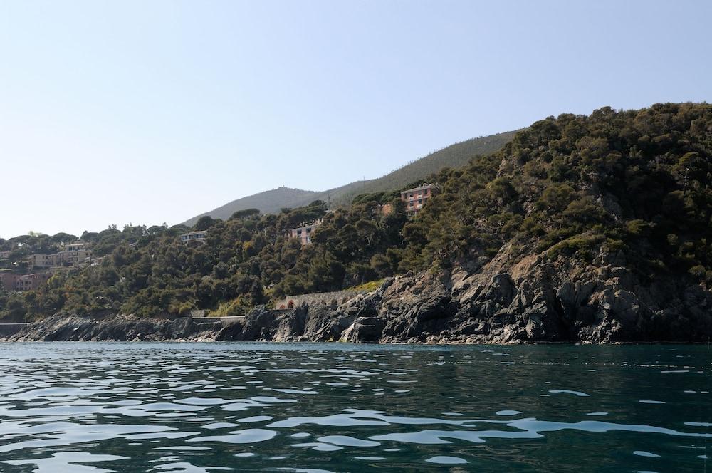 surroundings
