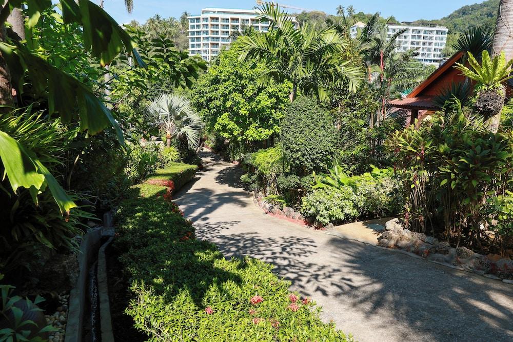 surroundings