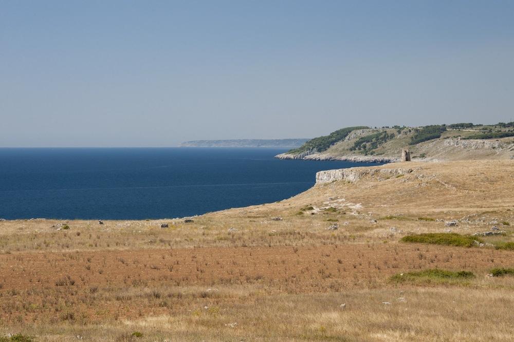 surroundings