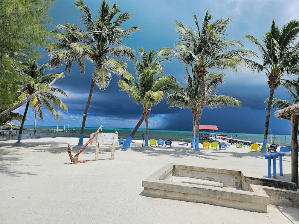 surroundings