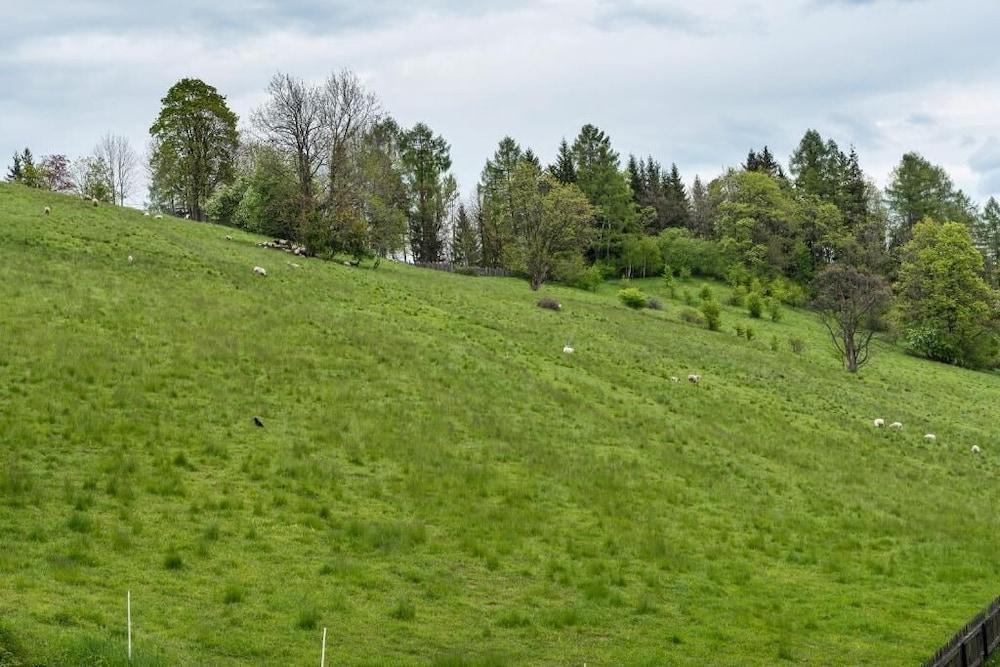 surroundings