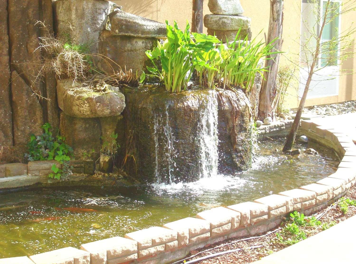 swimming pool spa