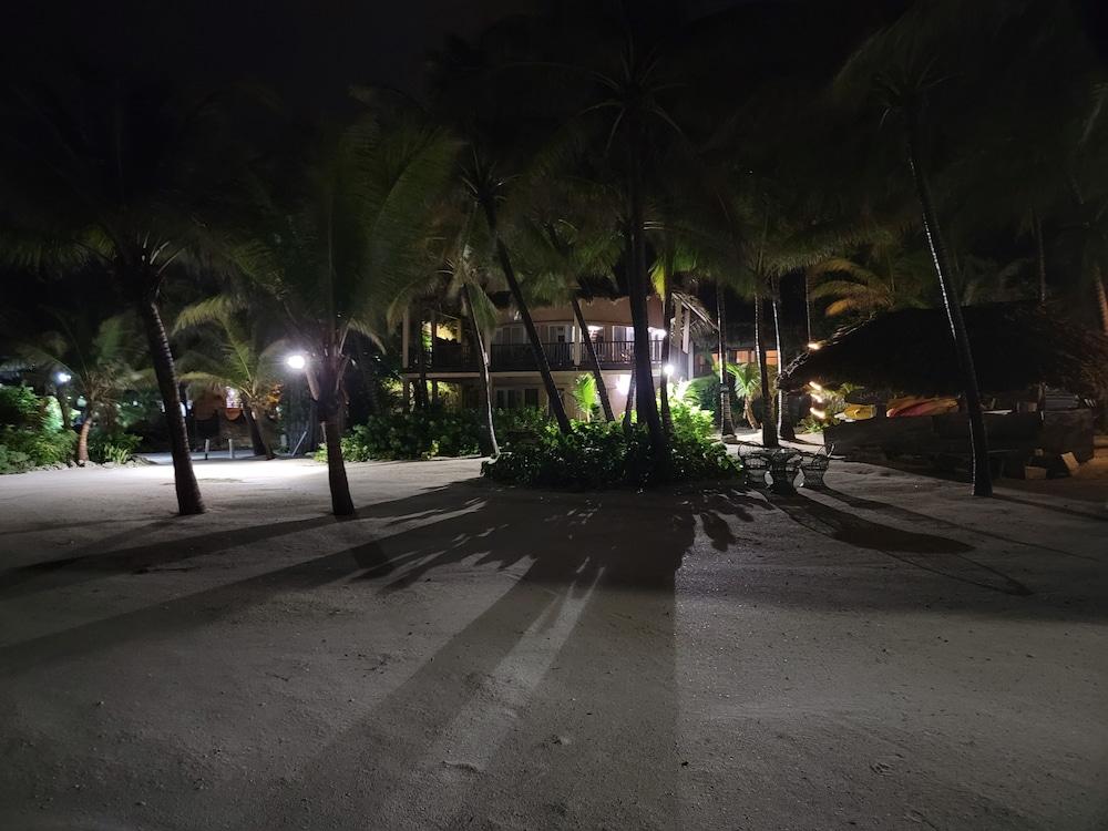 surroundings