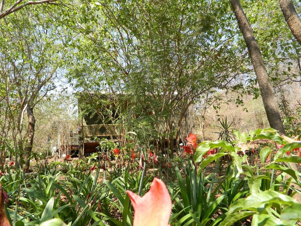 surroundings