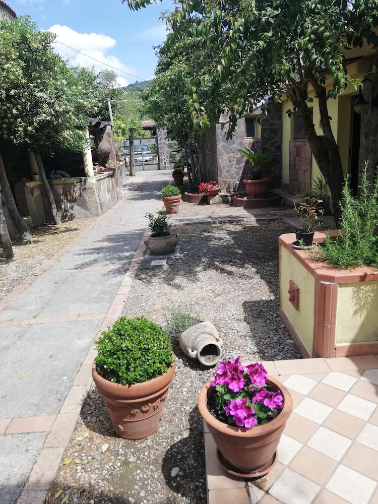 surroundings