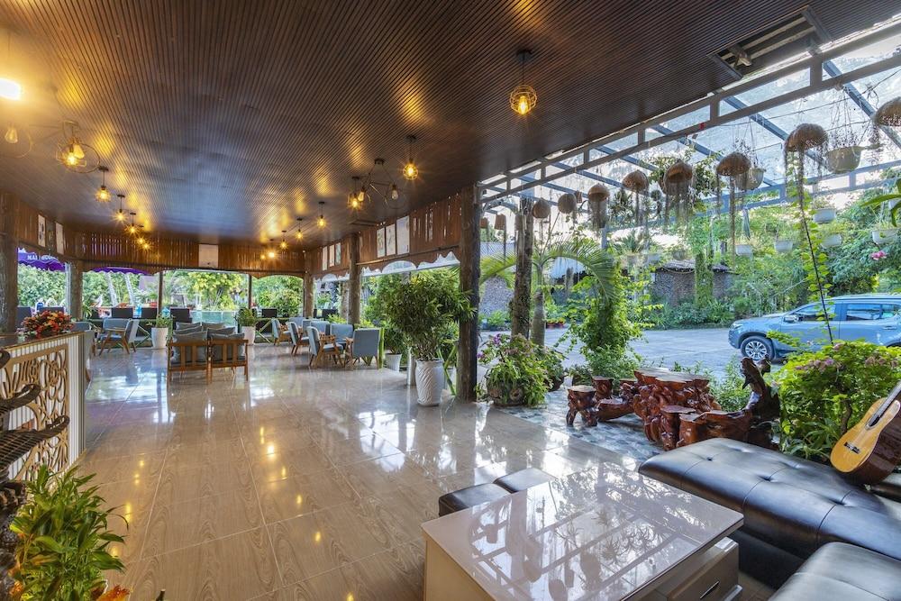 swimming pool spa