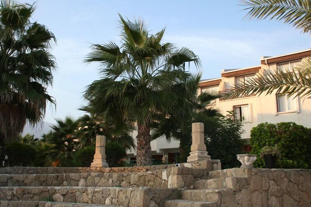 surroundings