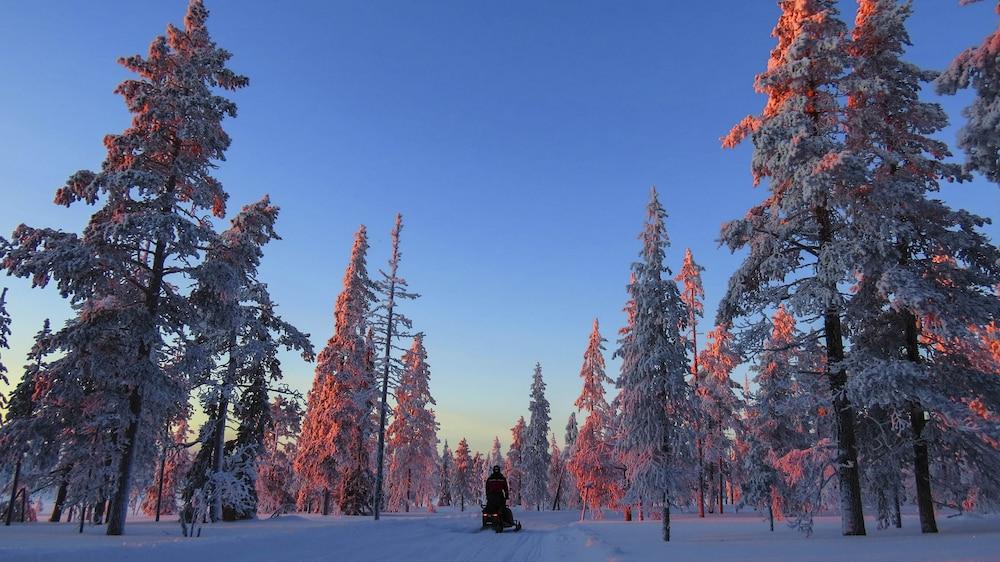 surroundings