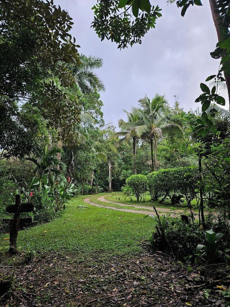 surroundings