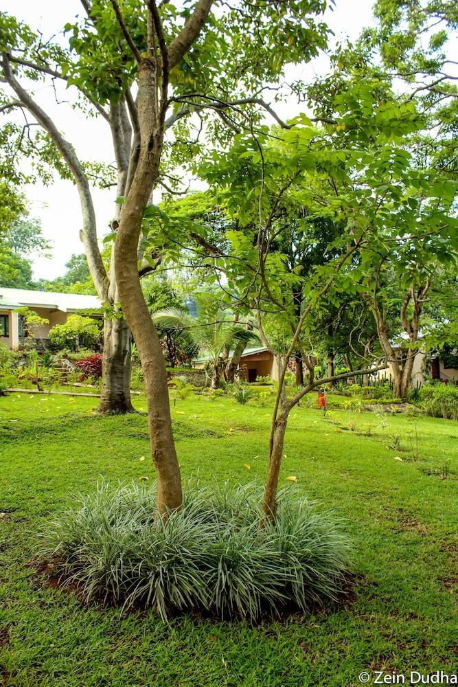 surroundings