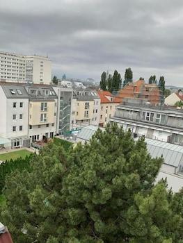 surroundings