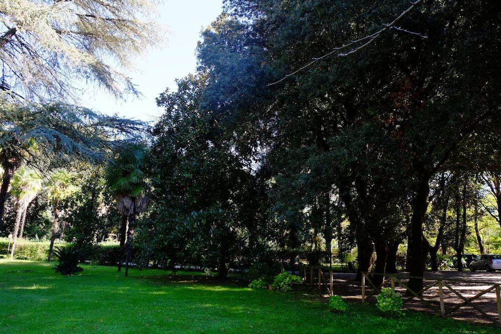 surroundings