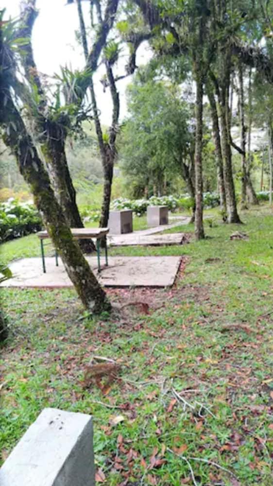 surroundings