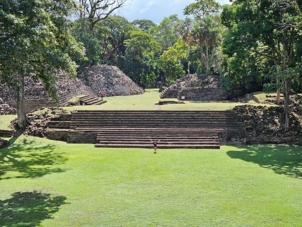 surroundings