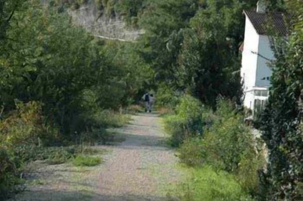 surroundings