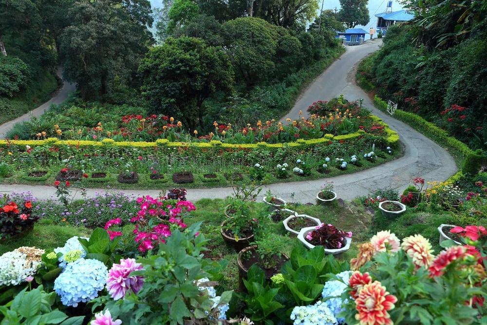 surroundings