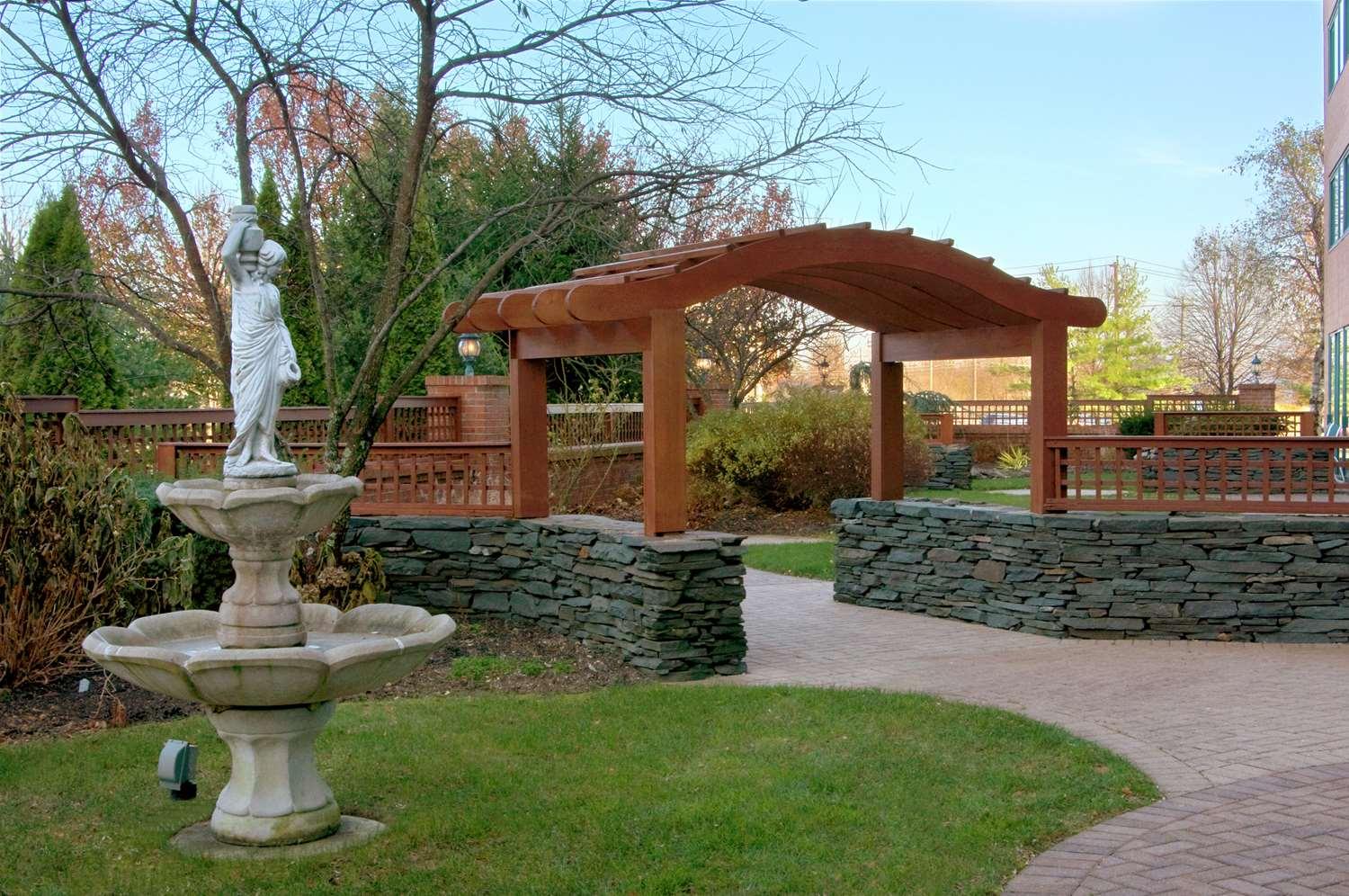 surroundings