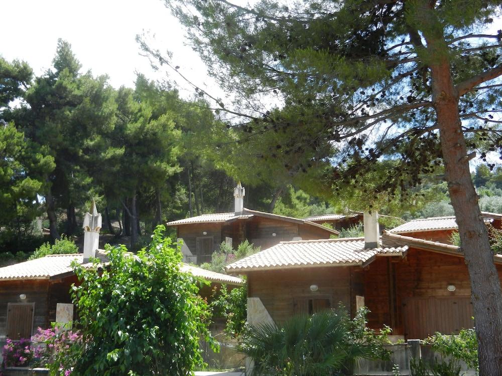 surroundings