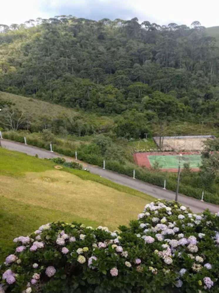 surroundings