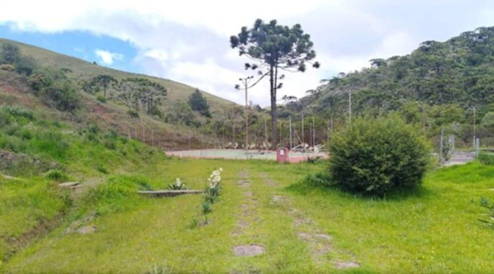 surroundings