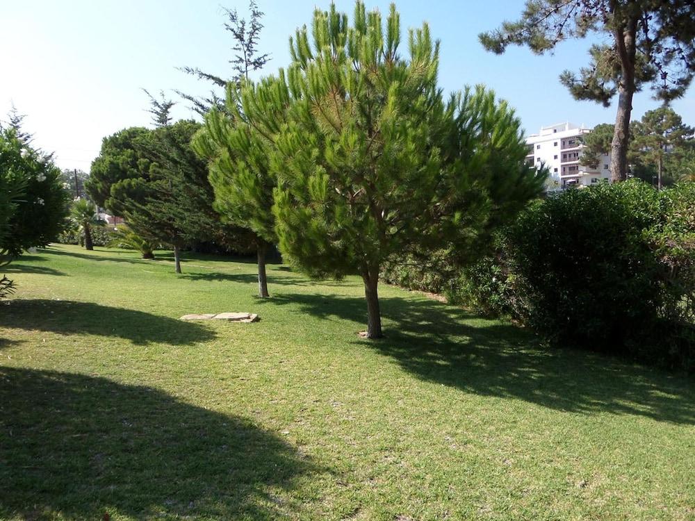 surroundings