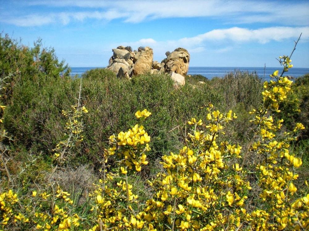 surroundings